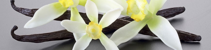 Vanille de Tahiti