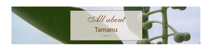 Tamanu