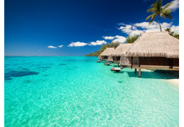 Tahitian secrets Events from 2013 to 2017