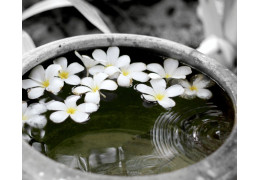 Où acheter du vrai Monoï de Tahiti AO ?